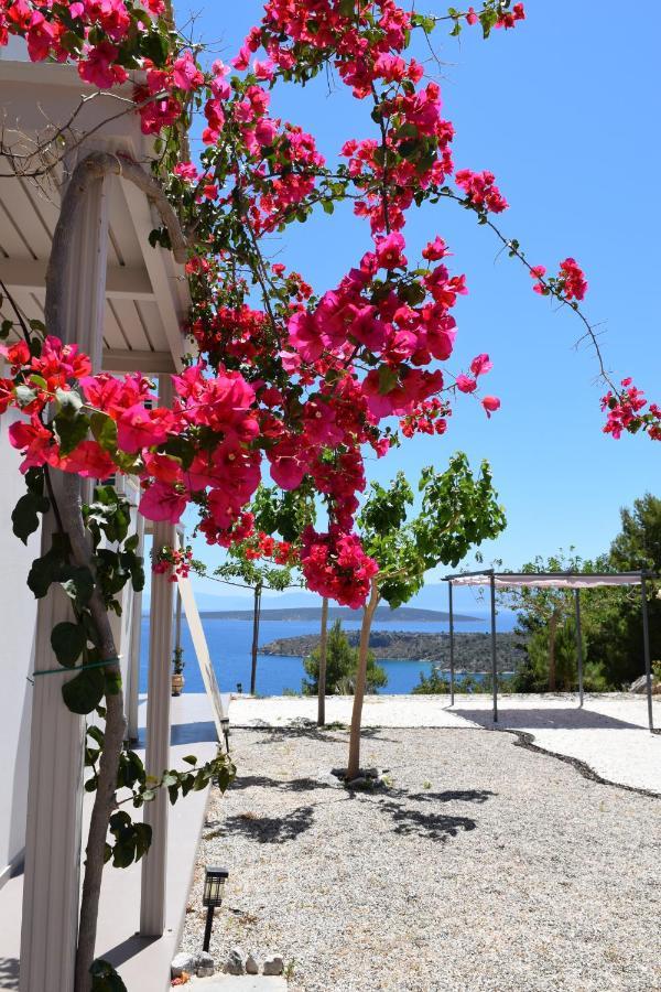 Avatonblue Villa Nafplio Vivári Extérieur photo